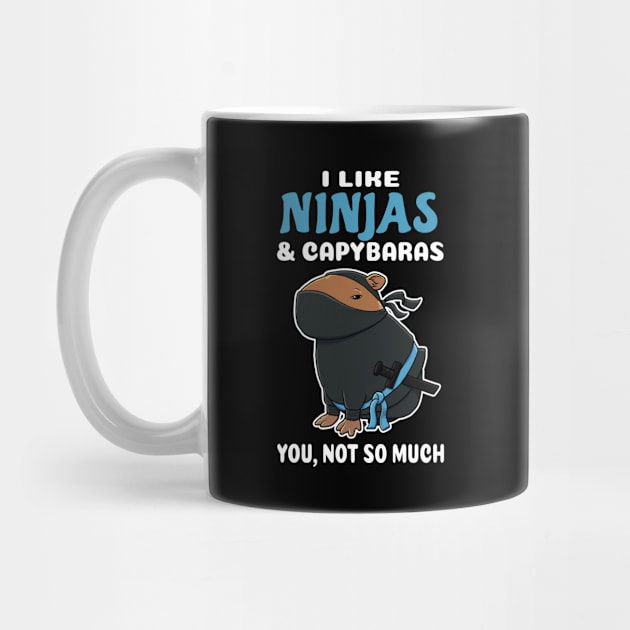 I Like Ninjas and Capybaras you not so much cartoon by capydays